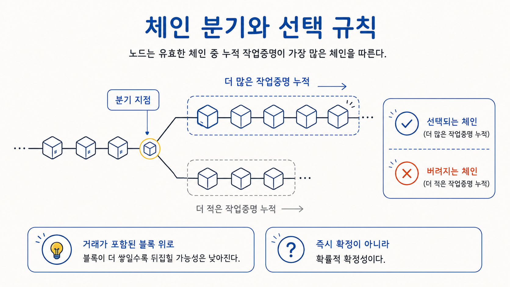 체인 분기와 선택 규칙